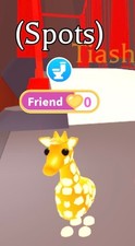 Adopt from giraffa - giraffa, neon