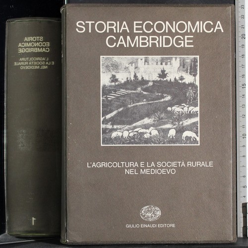 Storia econimica cambridge vol - storia,