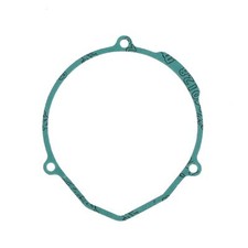 GUARNIZIONE LATO STATORE