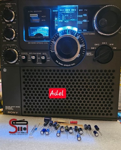 Sony icf 5900w - sony, kit