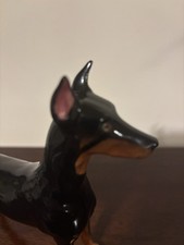 Pinza Royal Daulton Doberman