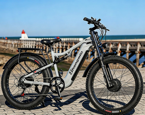 Bici elettrica fuoristrada - elettrica,