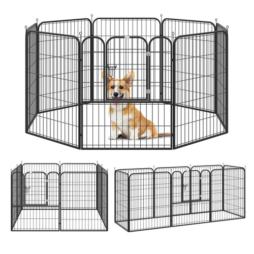 Recinto per cani - cani, 8