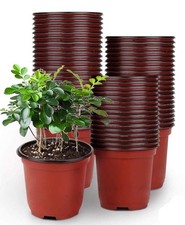 50pz vasi plastica - 50pz,