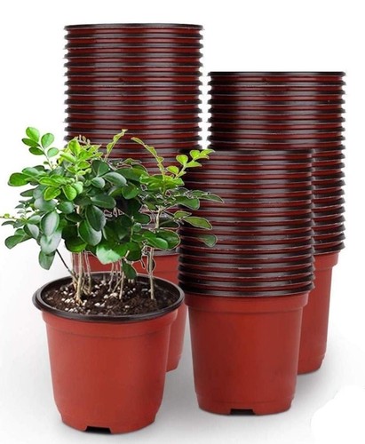 50pz vasi plastica 15cm - 50pz,
