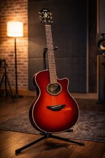 Chitarra acustica elettrica