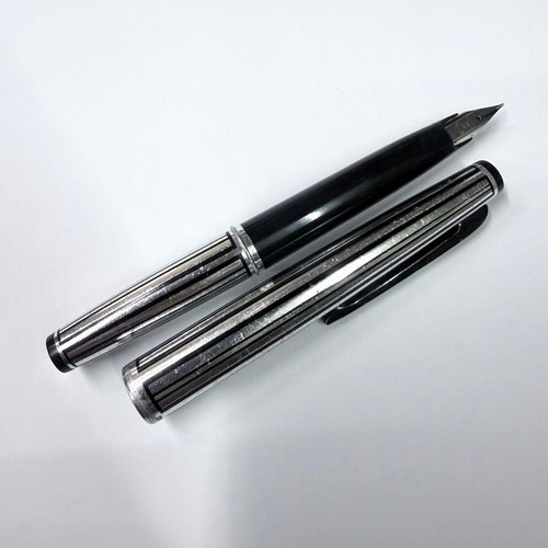Penna stilografica platino