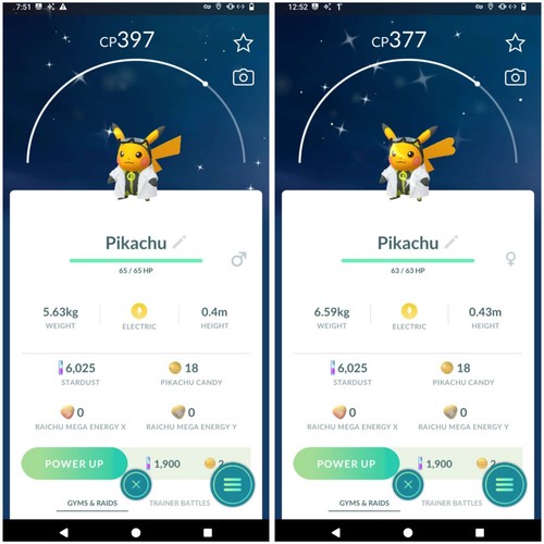 Shiny pikachu assistente - ✨shiny,