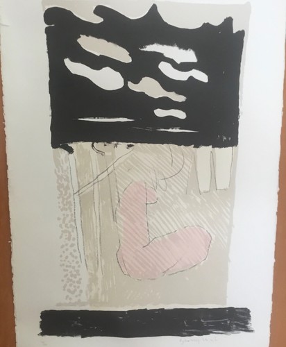 Litografia alberto gianquinto - litografia,