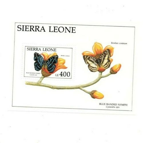 Sierra leone 1991 farfalle - leone,