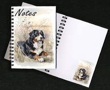 Bernese Mountain Dog