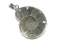 ciondolo ammonite fossile