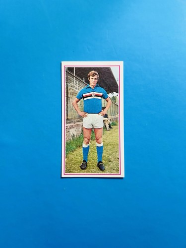 Figurina calciatori panini - figurina,