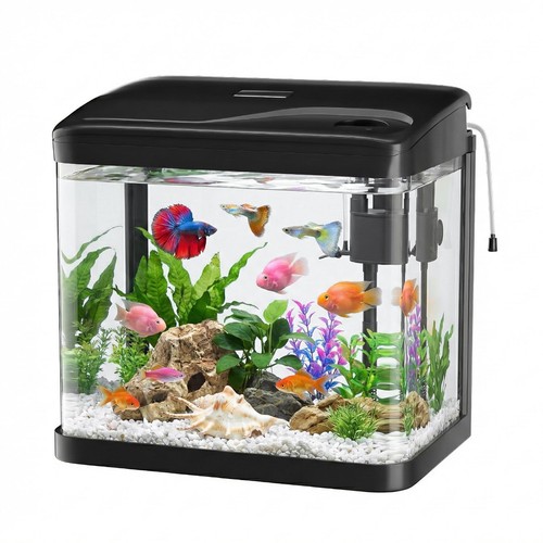 Acquario vetro litri - in,