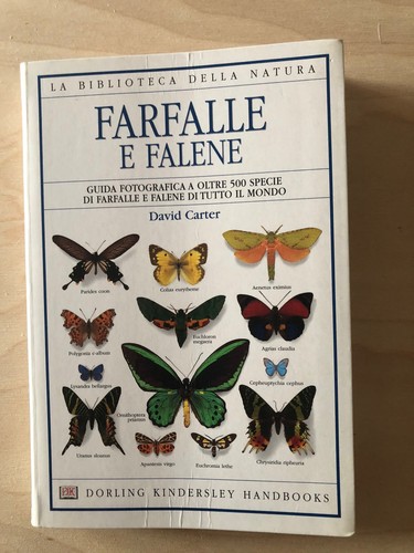 Farfalle falene david - falene,
