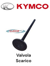 00114093 Valvola Scarico Kymco