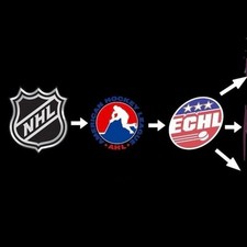 Carte collezionabili NHL AHL ECHL NCAA USHL NAHL OHL WHL CHL WHA squadra di hockey emesse N-Z