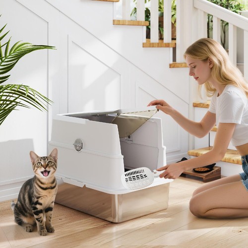 Allmypets lettiera per - allmypets,