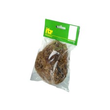 SPUGNA MARINA NATURALE 14 CM P/PITTURE   SM