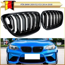 Griglia radiatore sportiva