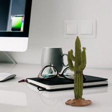  Cactus Finto Realistico