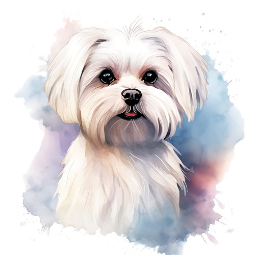 Adesivo auto maltese - , cani