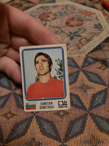 Figurina panini nuova mondiali - figurina,