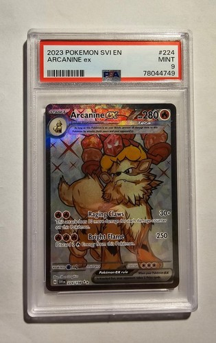 Pokemon card arcanine - arcanine, ex