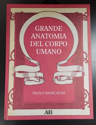 Libro grande anatomia - libro, del