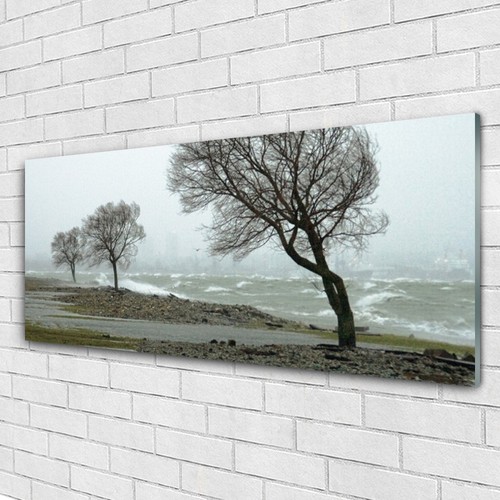 Quadri vetro quadro da - in,
