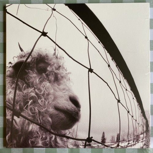 Pearl jam 2011 press - 2011,