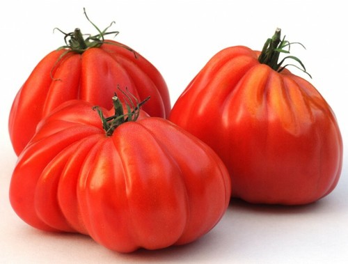 Pomodori cuore bue - cuore, di