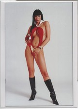VAMPIRELLA STRIKES #1 – HIGH END VIRGIN PHOTO COVER – SUBCRIBER EXCLUSIVE - 2013