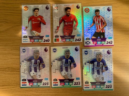 Figurine panini premier - premier, league