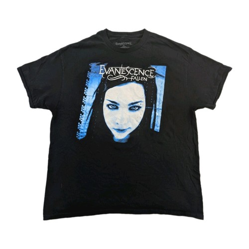 Evanescence fallen tour - fallen,