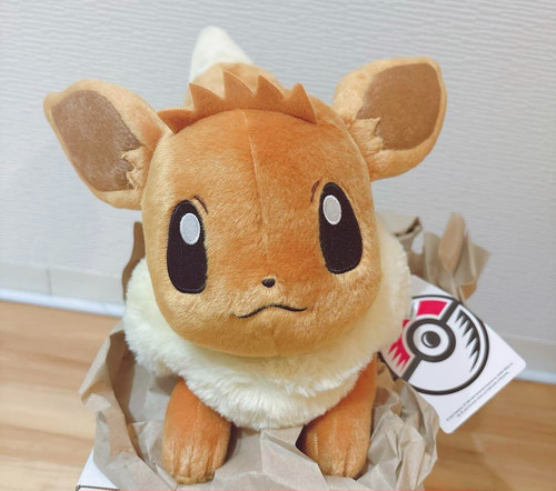 Peluche pupazzo pokemon center - pokemon,