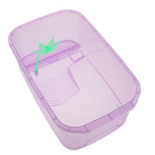 Gabbia Per Rettili Trasparente