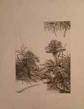 Luciano BIANCHI ( Cerro Maggiore 1935 ) ACQUAFORTE 1974 firmata e numerata