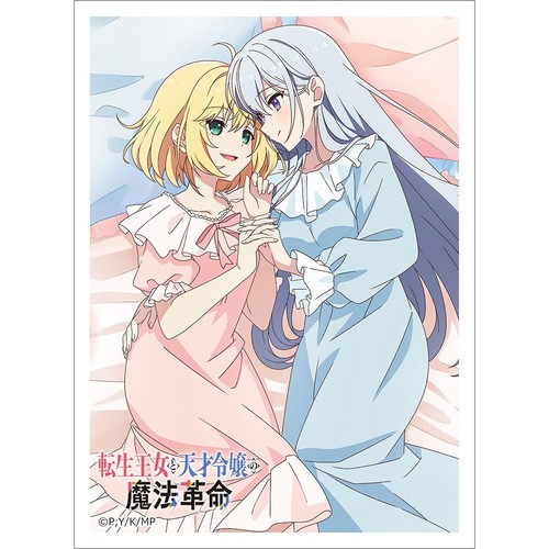 Tenten card sleeve - sleeve, (anishia