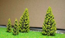 20 Abeti Verde Scuro, Alberi