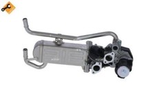 Valvola ricircolo gas scarico EGR RADIATORE         48215