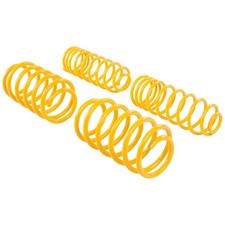 Molle sportive ST 30/30mm