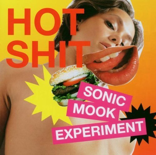 Sonic mook experiment hot - sonic,