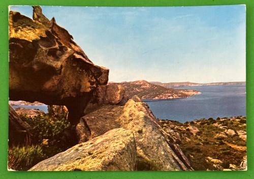 Capo orso - (la,