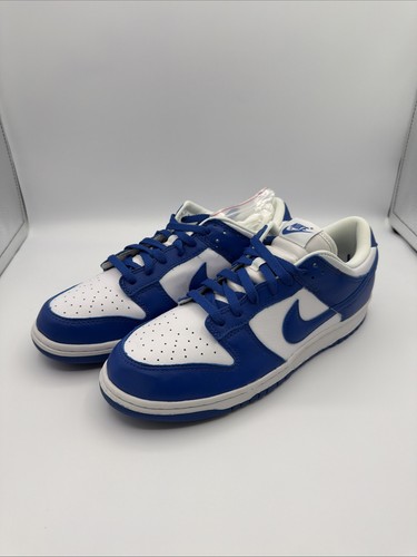 Nike dunk low - retro, sp