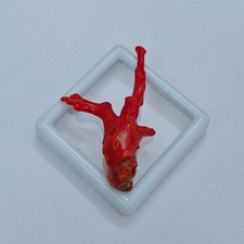 Ramo corallo rosso - di,