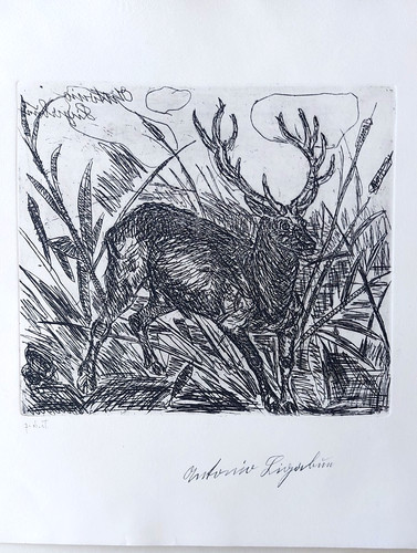 Antonio ligabue incisione - antonio,