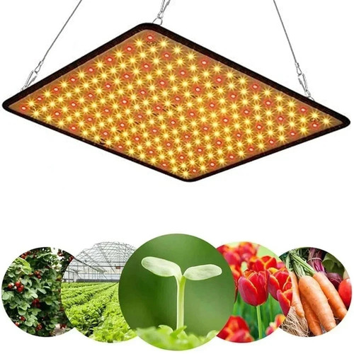 1000w watt led grow light - grow,