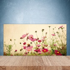 Paraschizzi da Cucina 100x50