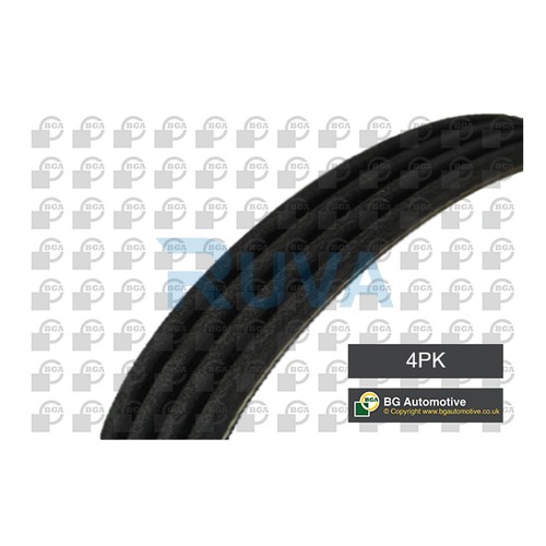 Cinghia alternatore adattabile
